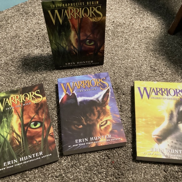 Warriors  warrior cats books 1 2 and 3 - Picture 1 of 2